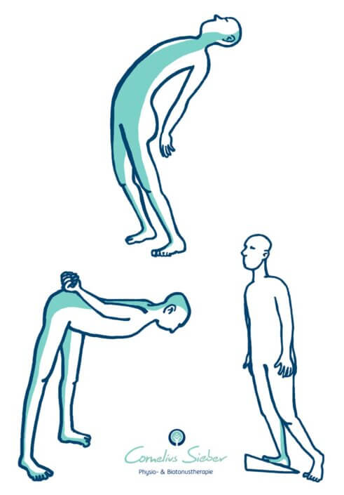 Illustrationen Physiotherapeut Cornelius Sieber